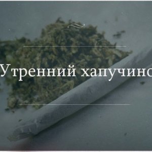 Хапочино конопли