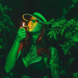 Курит марихуану на кана-ферме