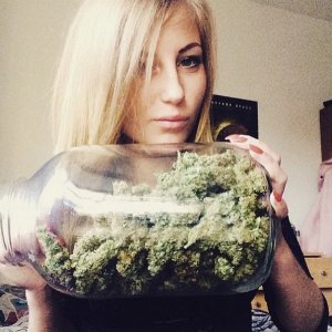 Баночка канабиса)