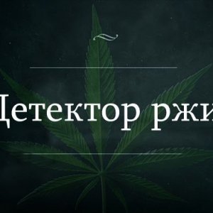 Курнул марихуаны и