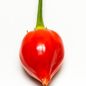 Naranga