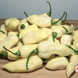 White Fatalii