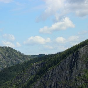 грив
