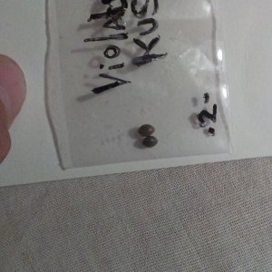 IMAG0508