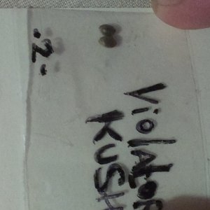 IMAG0507
