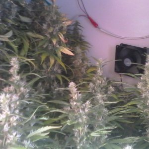 IMG 20160711 094746