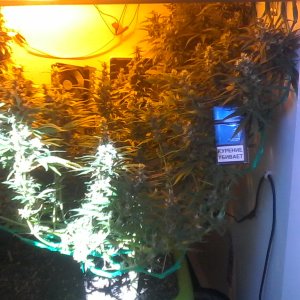 IMG 20160711 095103