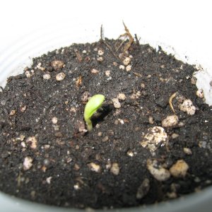 16.04.21 004