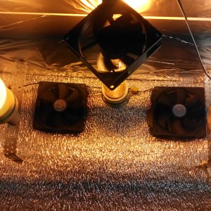 IMG 20160705 203519