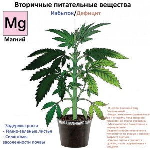 post 40850 0 17156300 1453567829