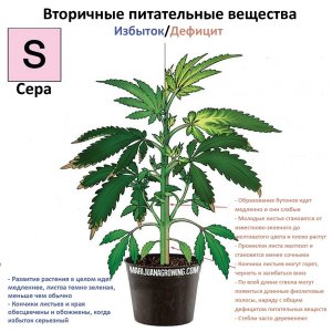 post 40850 0 69147300 1453819356