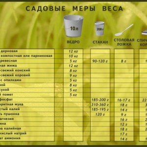 Med gallery 3750 321 50140