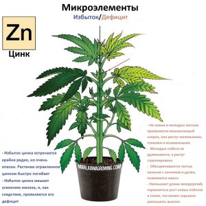 цинк