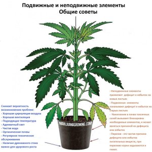 Общие советы