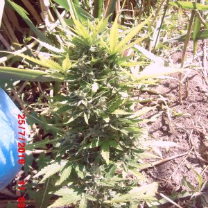 CIMG3256