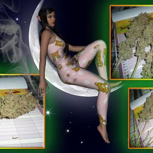 G13 Haze