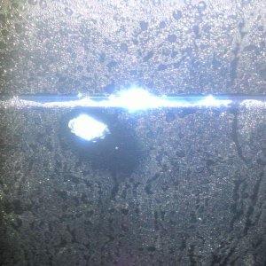 photo 2016 10 12 19 51 48