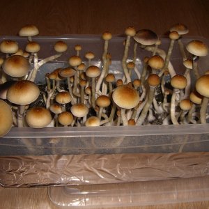 CIMG0026