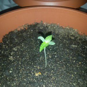 20161017 195012