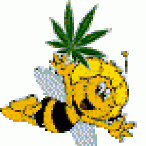 abeille 015B