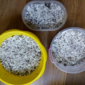 PHOTO 20160726 170457