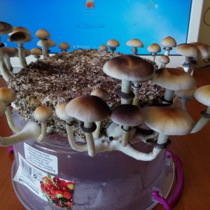 PHOTO 20160816 100804