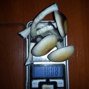 PHOTO 20160818 003943
