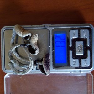 PHOTO 20160819 143644
