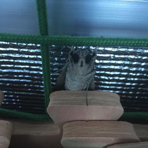 IMG 3836