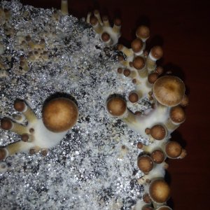 PHOTO 20170222 232740