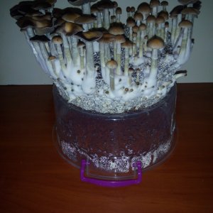 PHOTO 20170224 140505