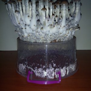 PHOTO 20170224 140514