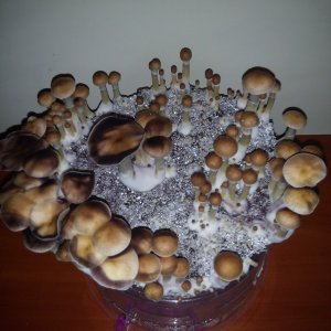 PHOTO 20170224 140554