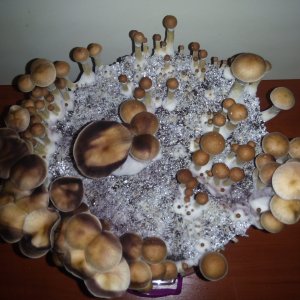 PHOTO 20170224 140626