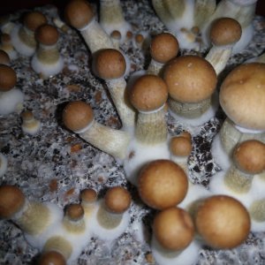 PHOTO_20170219_000359.jpg