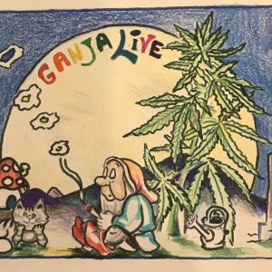 GanjaLive-picture вегетация