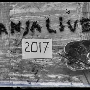 GanjaLive-конкурс 2017 шишки