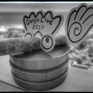 GanjaLive-конкурс джойнт привет