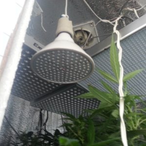 20170513_164647.jpg