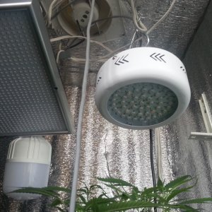 96W ( True 50W ) UFO 32 LEDs Full Spectrum Grow Light.jpg