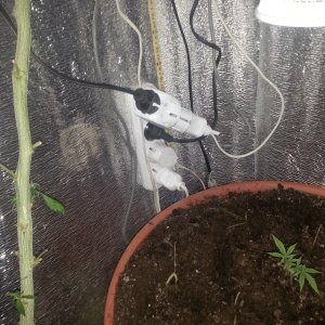 20170513_164822.jpg