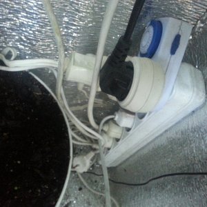 20170513_164911.jpg