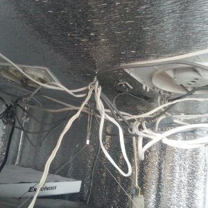 20170513_164931.jpg