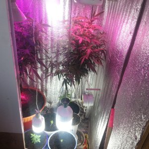 20170513_165222.jpg