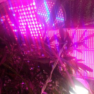 20170513_165257.jpg