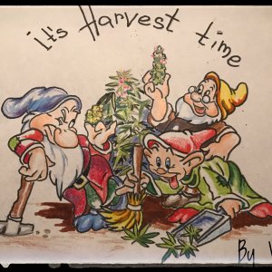 GanjaLive-panting