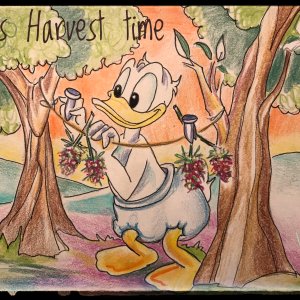 GanjaLive-рисунки у Дональда харвест