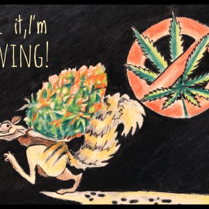 Ganjalive-рисунки ну тогда я ухожу!