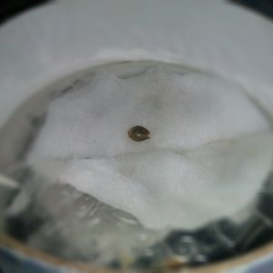 20160518122013.jpg