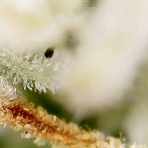 Fri Jul 08 00-07-57.jpg